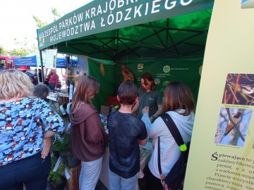 Piknik województwa łódzkiego w Brzezinach z okazji Dnia Dziecka, 